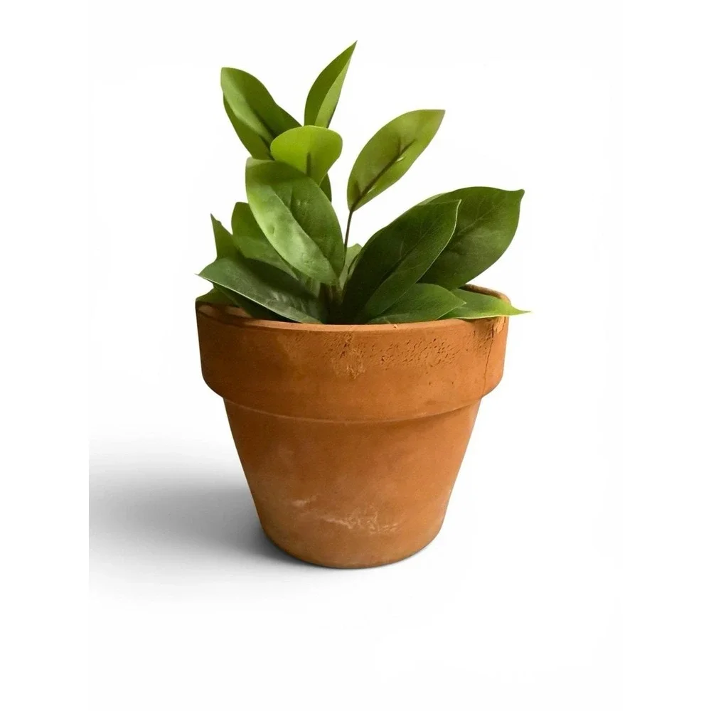 Vintage Terracotta Planter Aged Patina Clay Pot + Dish French Garden 5.5